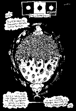 Click to go to Yog page 1